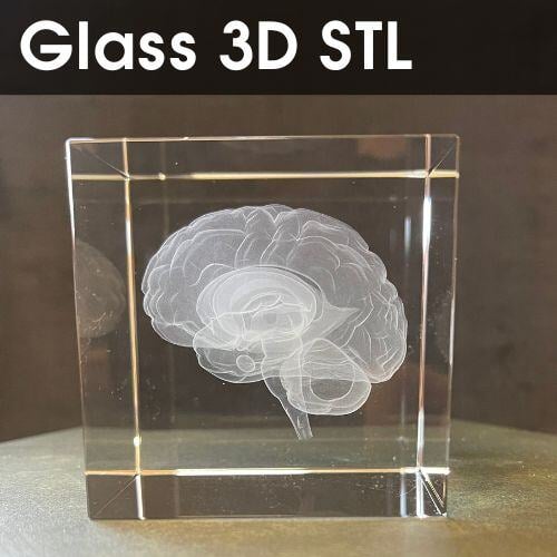UV-3dglasscrystal-engrave-3d-brain-1
